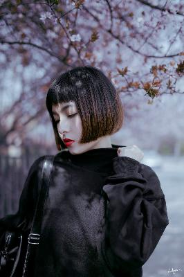 在线观看免费完整电视剧大全